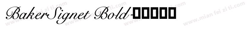 BakerSignet Bold字体转换